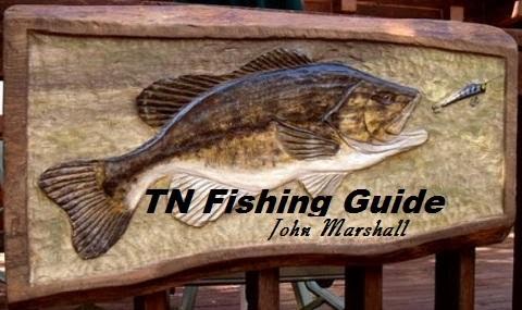 TN Fishing Guide