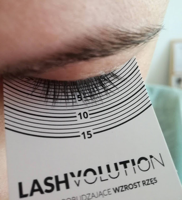 lashvolution