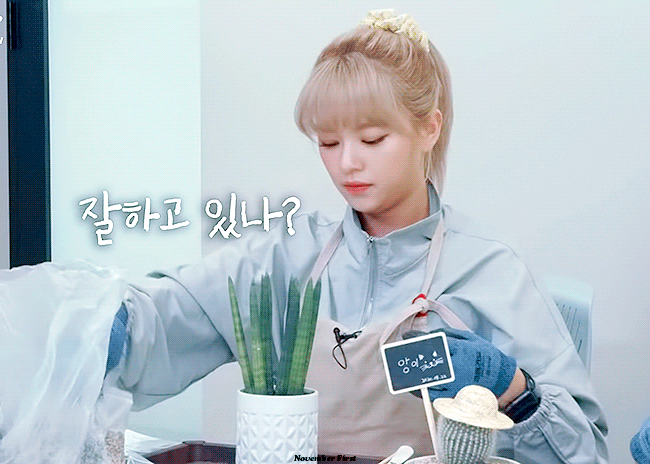 Internet_20200916_200959_4.gif