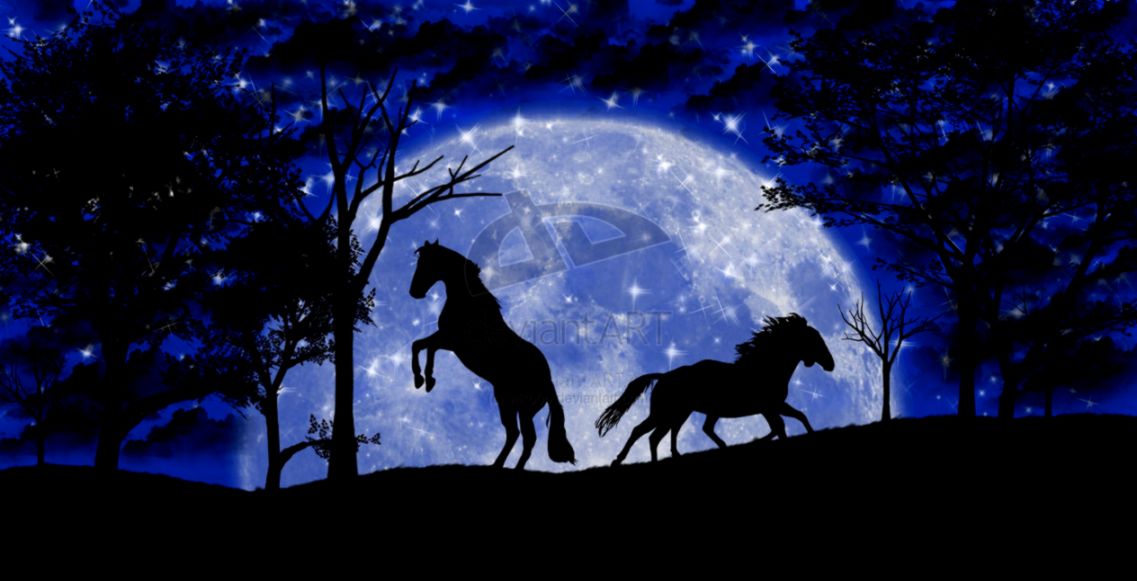 Horses In The Moonlight