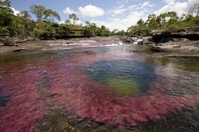 color water crystal river 12 Sungai Kristal   Sungai tercantik di Dunia (16 Gambar)