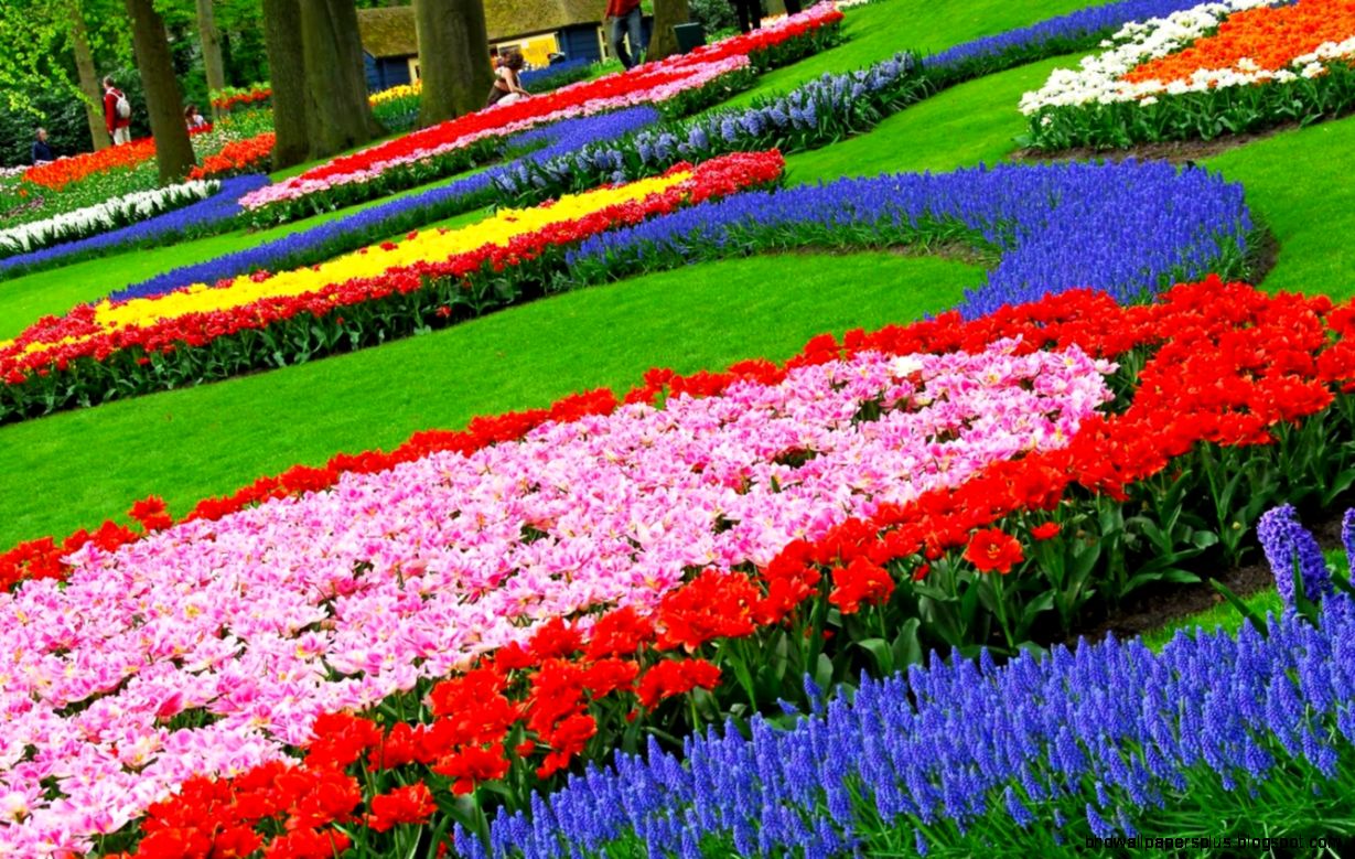 Images Flower Gardens   Flower Garden Ideas