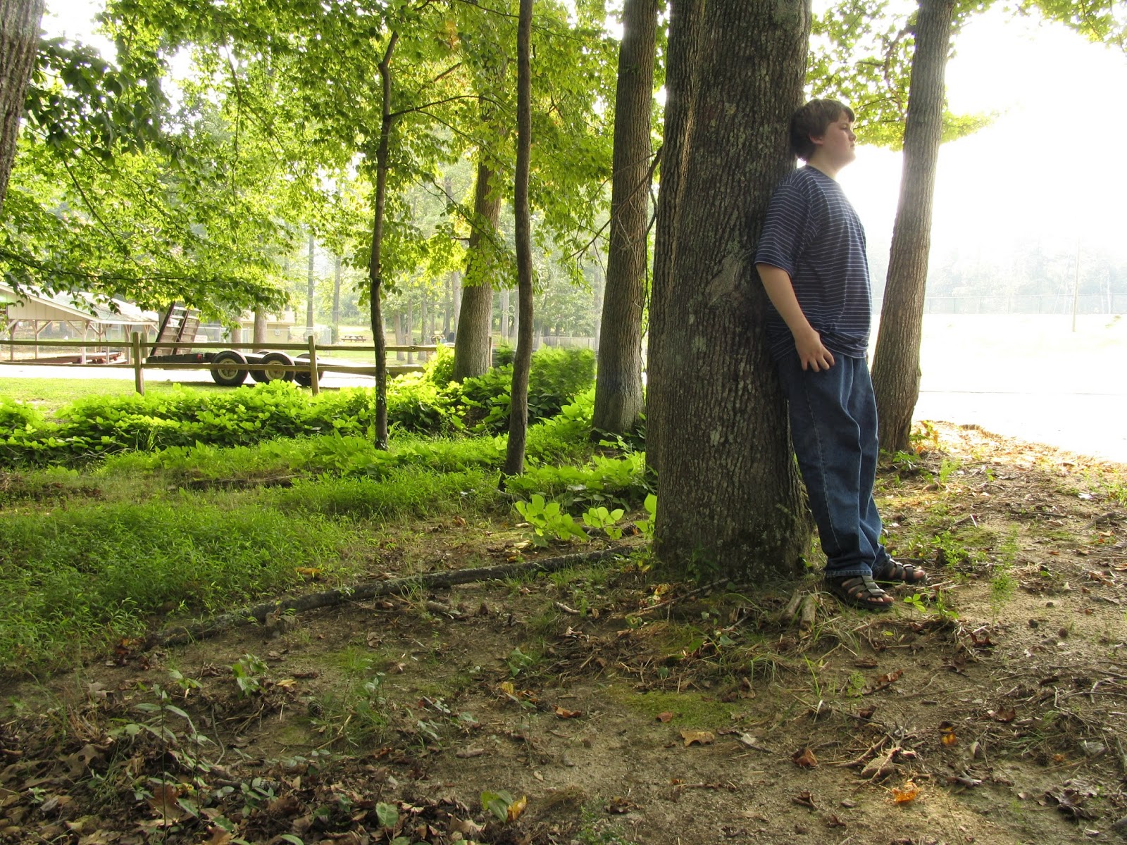 nightmares on gabapentin