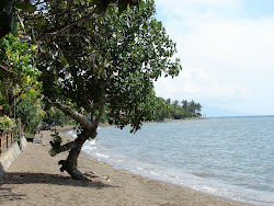 Lovina Beach