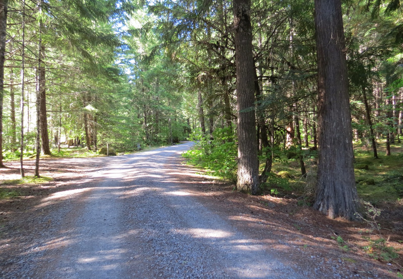 Where's Liz? 2014 Toketee Campground, Umpqua National Forest, Oregon
