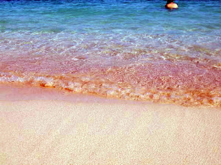 Bored amongst white sandy beaches too dark BaliTourismMap: Pink Beach inwards Indonesia