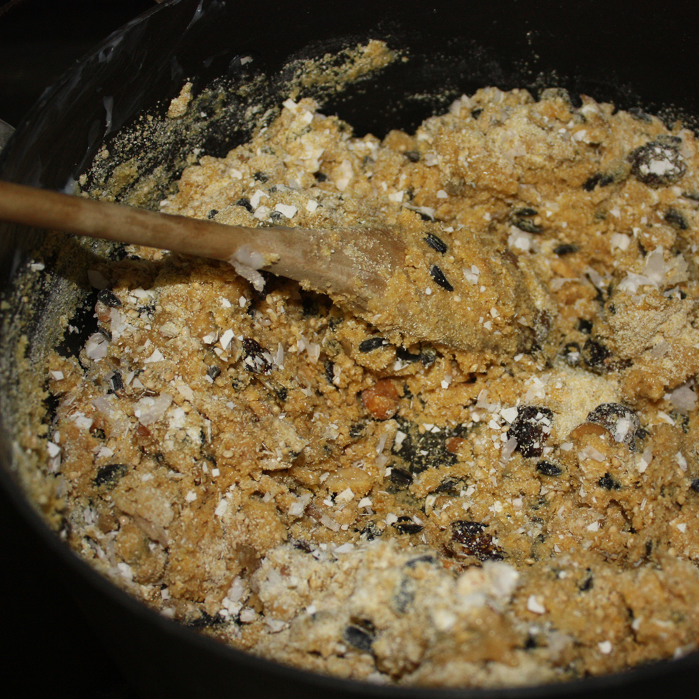 How to Make Suet For Birds Koti Beth