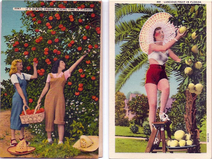 The Copycat Collector THE WEEKEND COLLECTOR Postcard