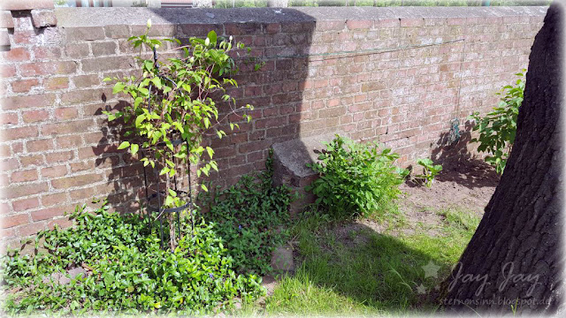 Eingepflanzt Schminkspiegel Beleuchtet