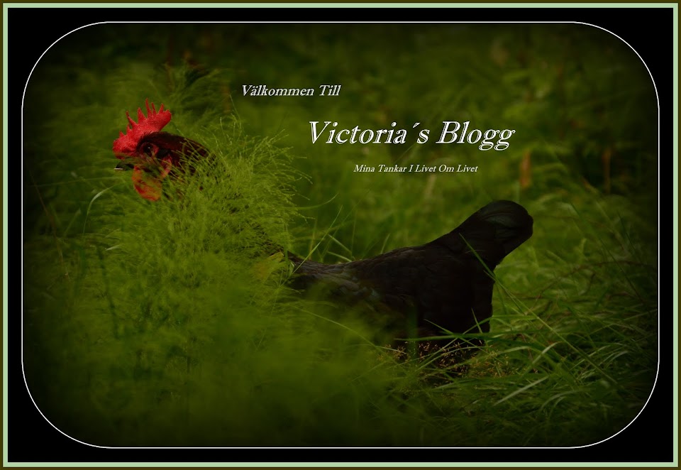Victoria's Blogg