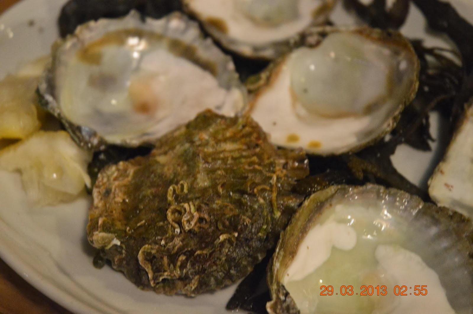 iloveIreland Moran's Oysters Galway