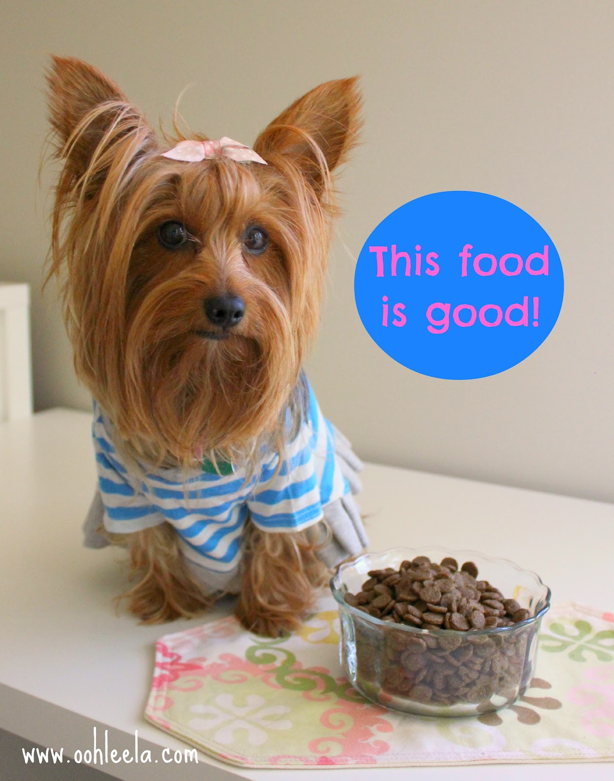 Ooh Leela! Leela's taste test Life's Abundance dog food