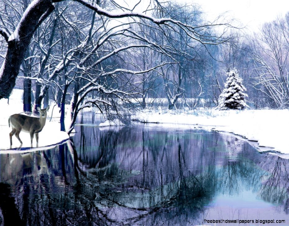 Winter Wonderland Wallpaper For Computer  Free Download Wallpaper