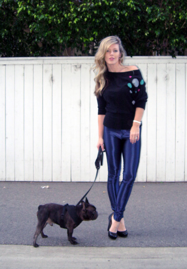 blue satin disco pants, french bulldog
