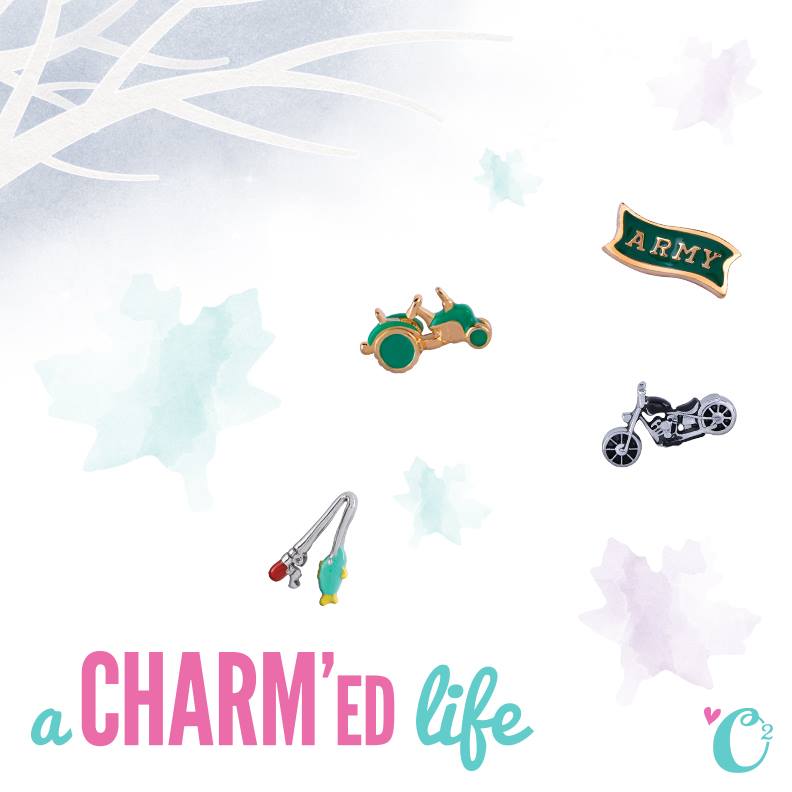  Origami Owl Charms - New for Fall 2014 | Shop StoriedCharms.origamiowl.com