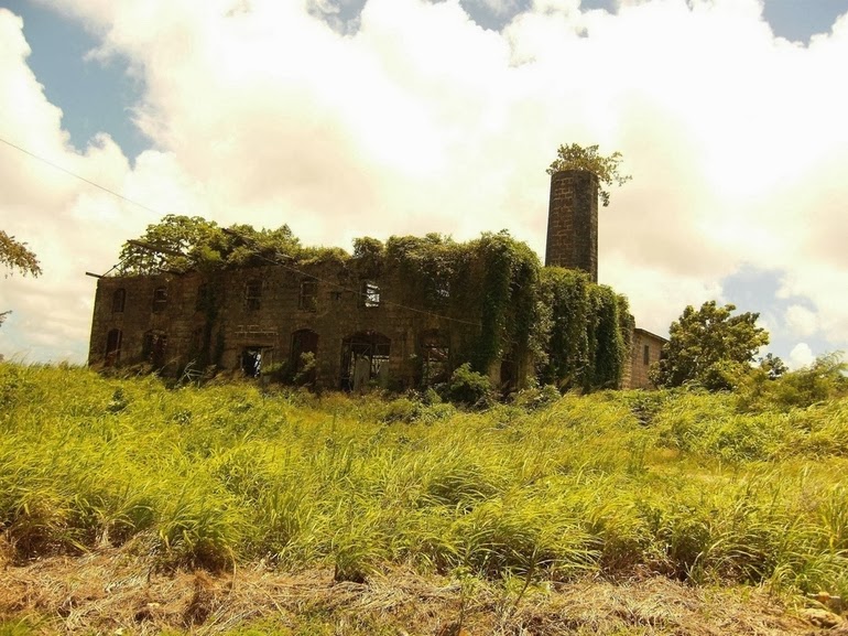 18.+Abandoned+distillery+in+Barbados