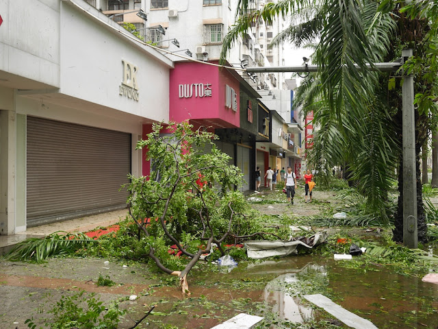 debris on sidewalks along Yingbin South Road in Zhuhai after Typhoon Hato
