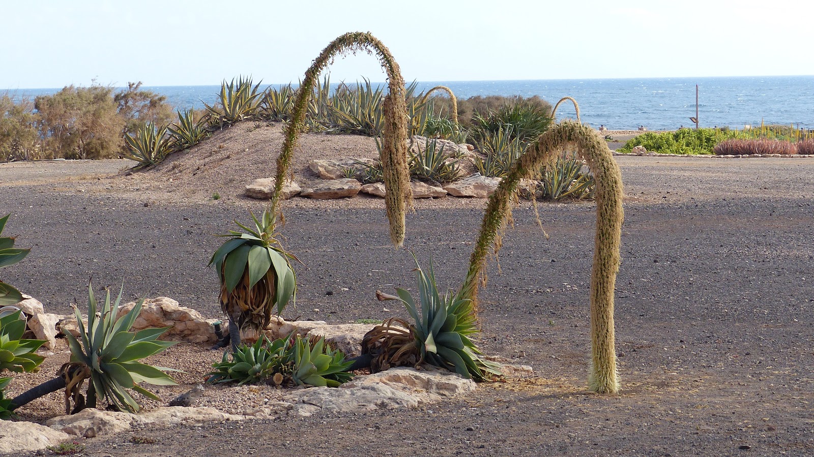 2019 AidaNova Kanaren im Februar