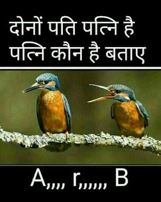 Saral hindi paheliyan with answers | Pati Kaun Sa hai Bataiye ? bujho to jane with answer in hindi
