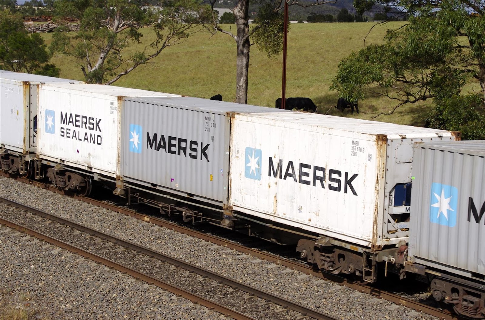 Rollingstock News 22R1 ISO Reefers