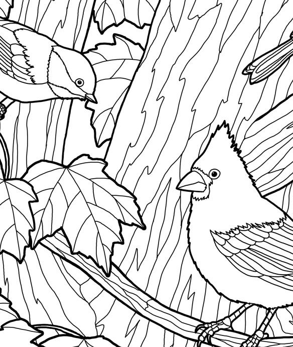 Free Printable Tree Coloring Pages For Youngsters