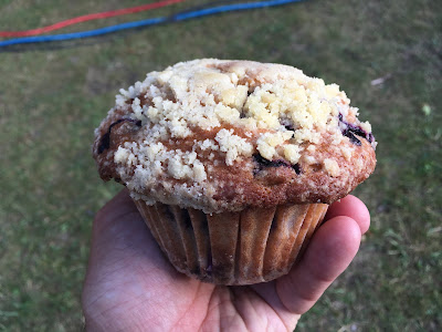 blueberry cupcake at Montrose Blueberry Festival Michigan