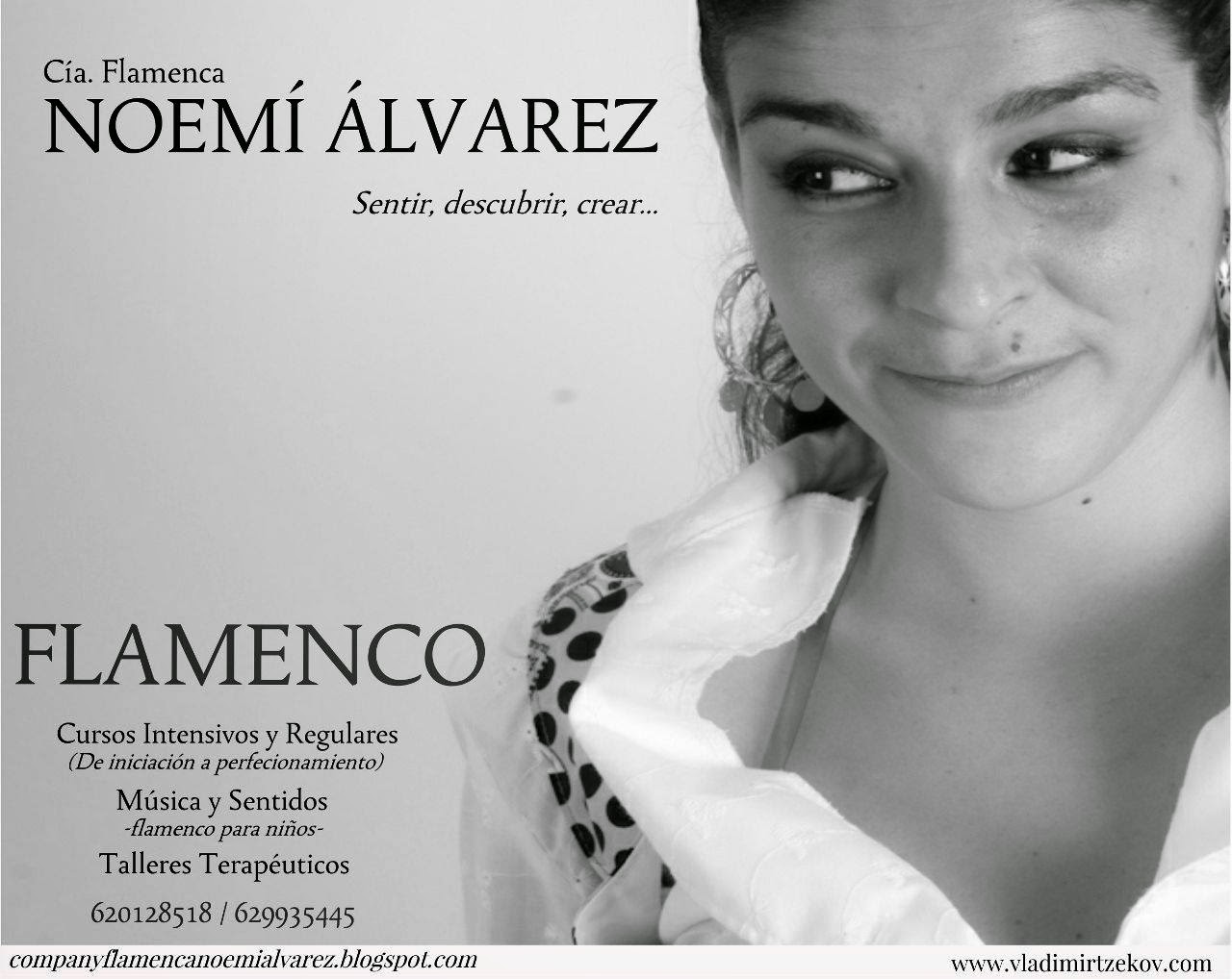 Cía. Flamenca Noemí Álvarez