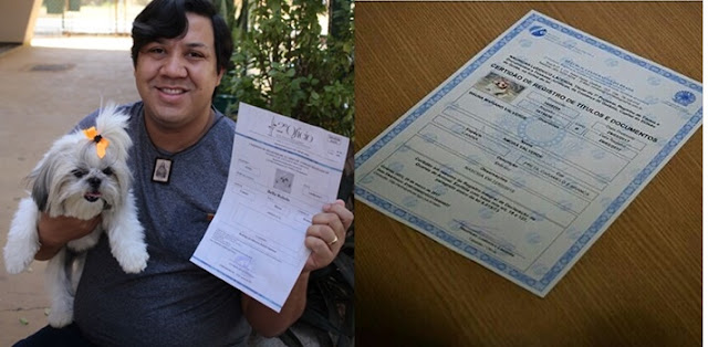 Agora você pode registrar o seu SHIH TZU no cartório! Veja como