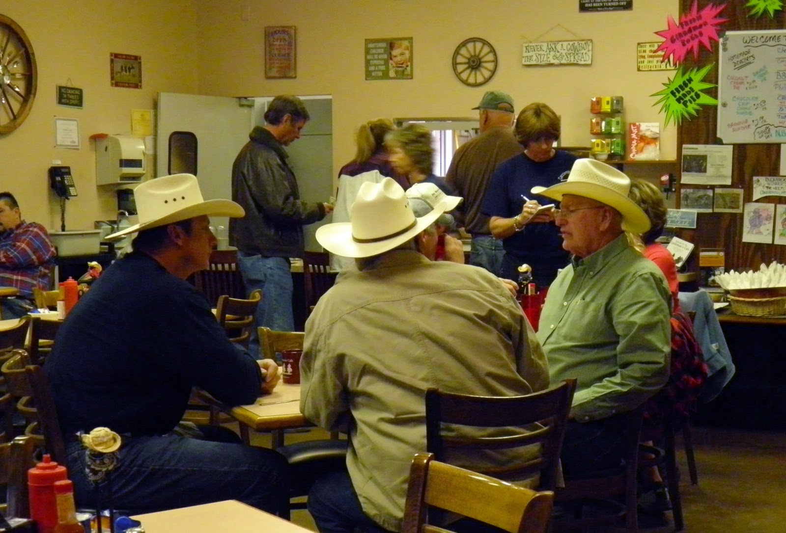 Arizona Beetles, Bugs, Birds and more Marana Stock Auction