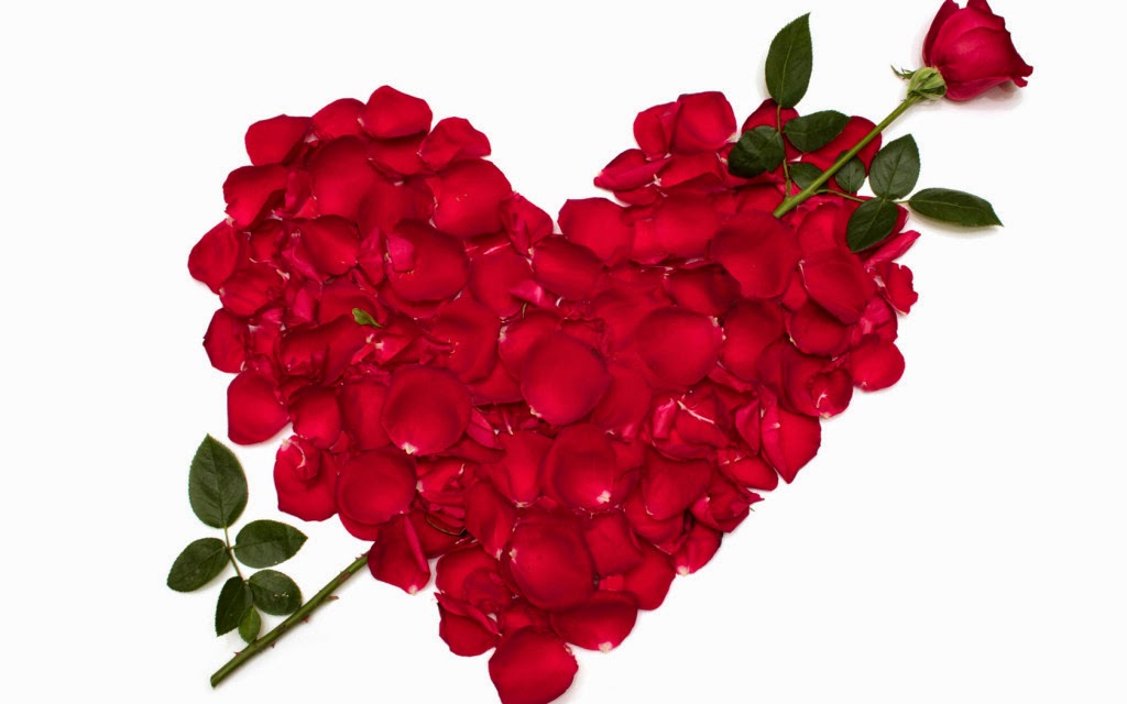 Gambar Bunga Romantis Kata Ucapan Aku Cinta Padamu HD 