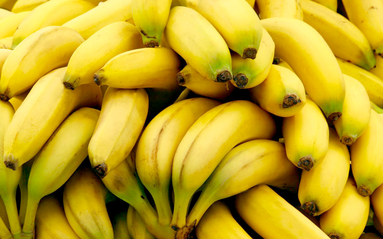 Manfaat Buah Pisang untuk Kecantikan Wajah Manfaat Buah Pisang untuk Kecantikan Wajah