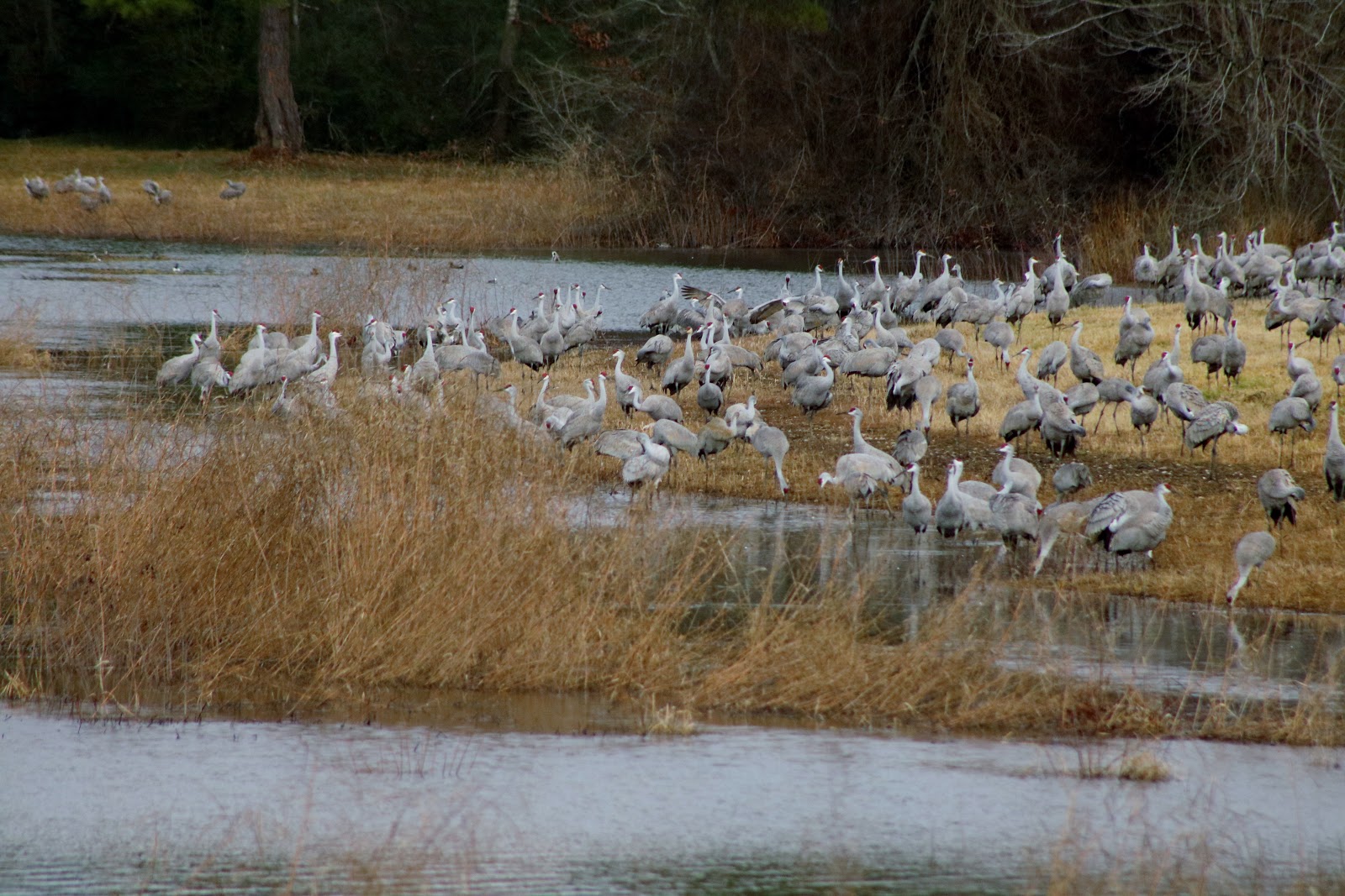 Wheeler National Wildlife Refuge