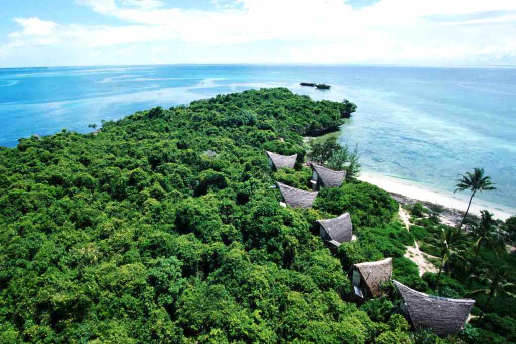 Zanzibar mangroves