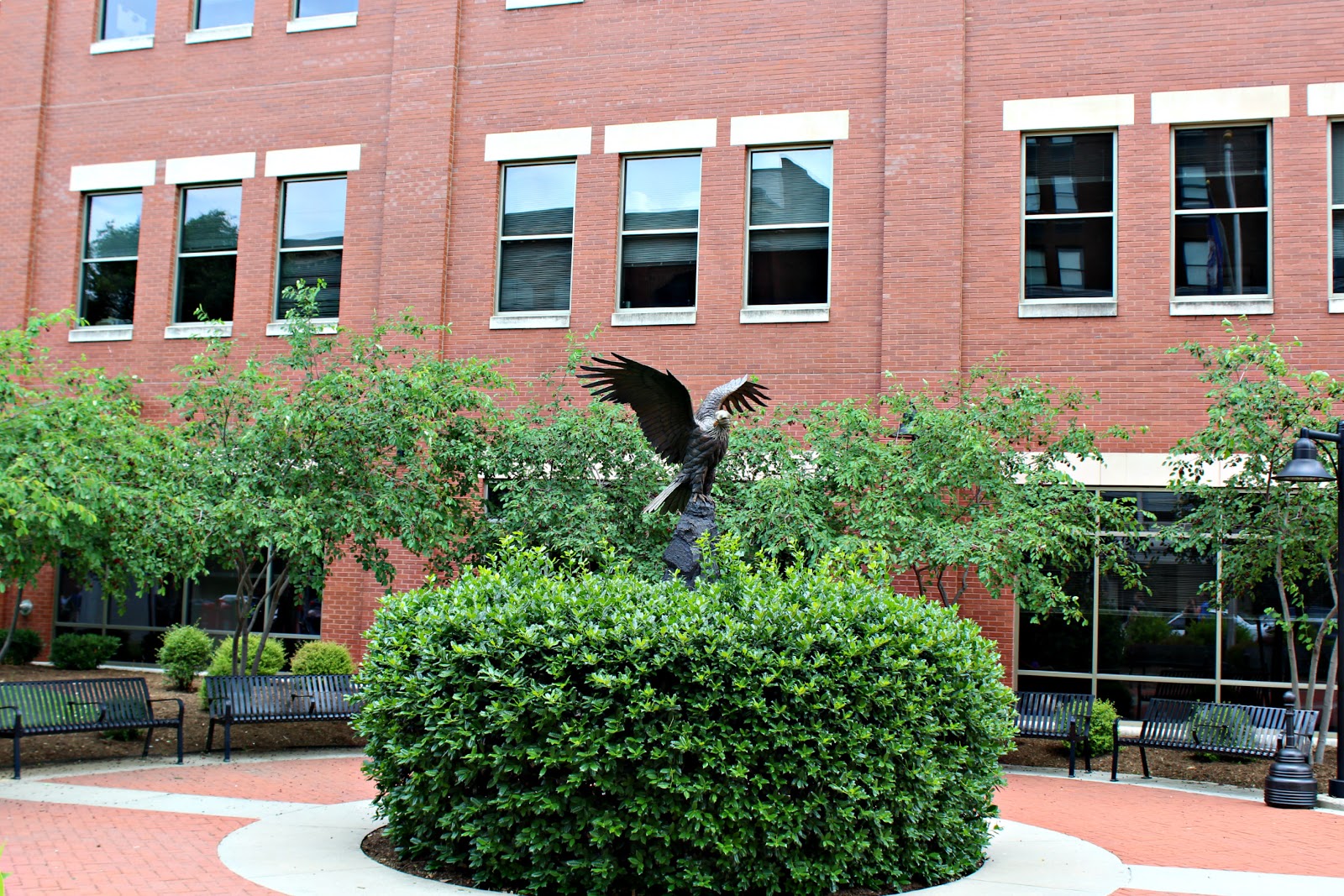 Around Roanoke, VA (A Daily Photo Blog) Majestic