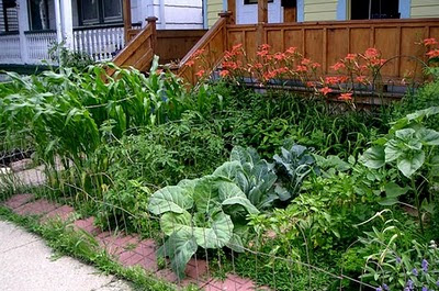 nwgardens: Front Yard Garden