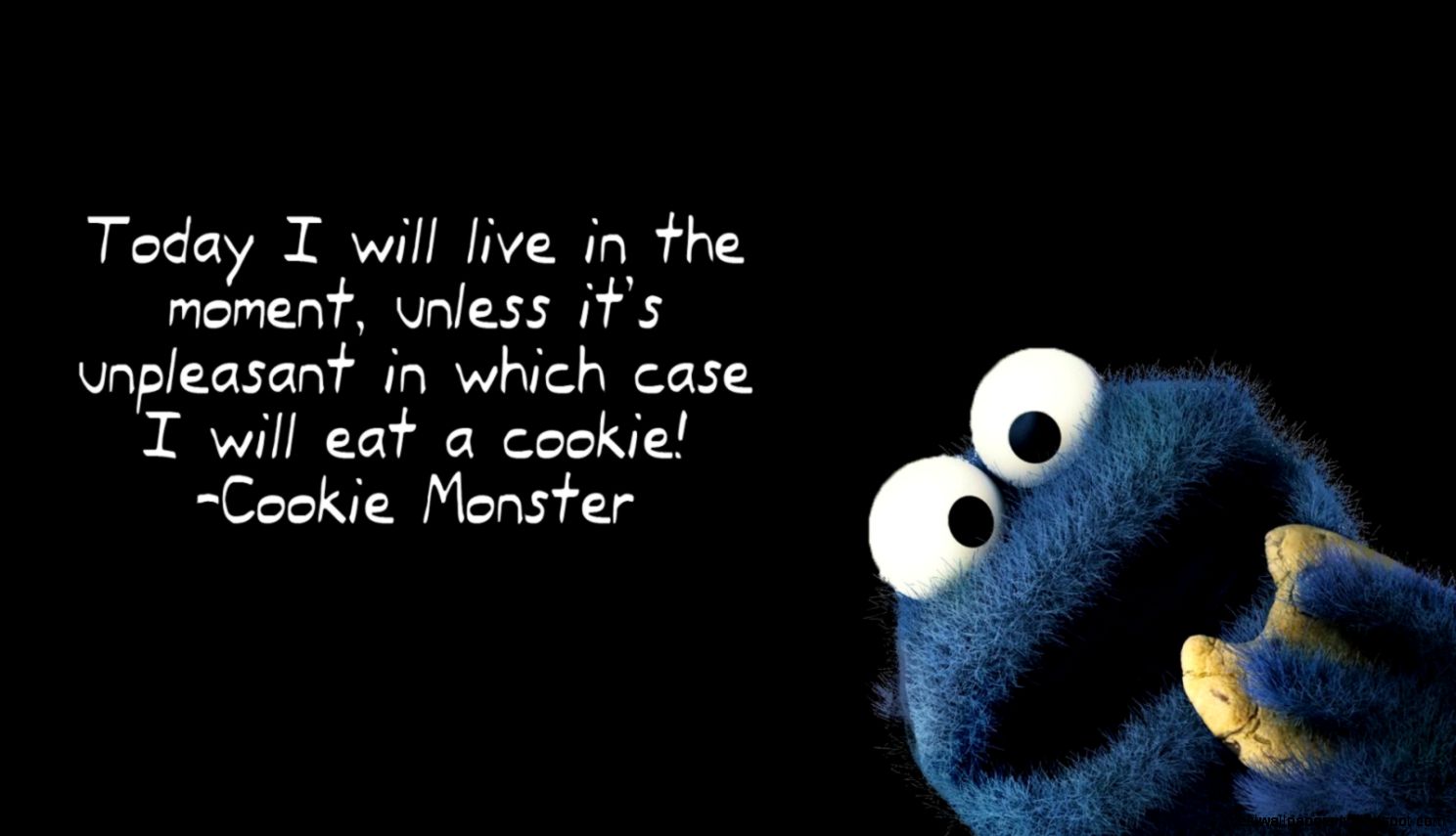 Funny Cookie Monster Desktop
