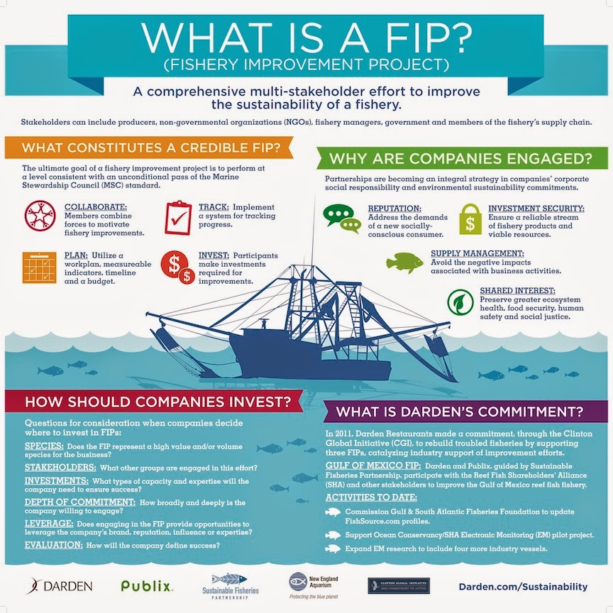 marine kenya WORLD FISHERIES DAY