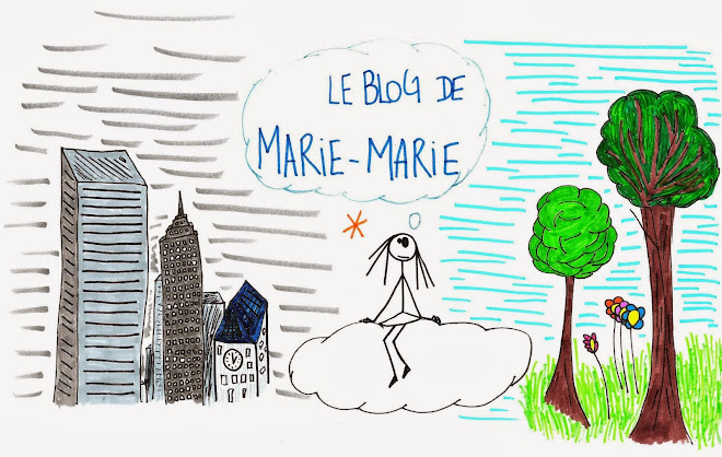 Le blog de Marie-Marie