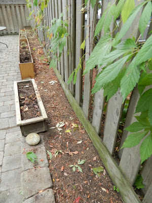 Fall Clean up Toronto Bedford Park Backyard Garden after by Paul Jung Gardening Services Fall Clean up Toronto Bedford Park Backyard Garden after by Paul Jung Gardening Services
