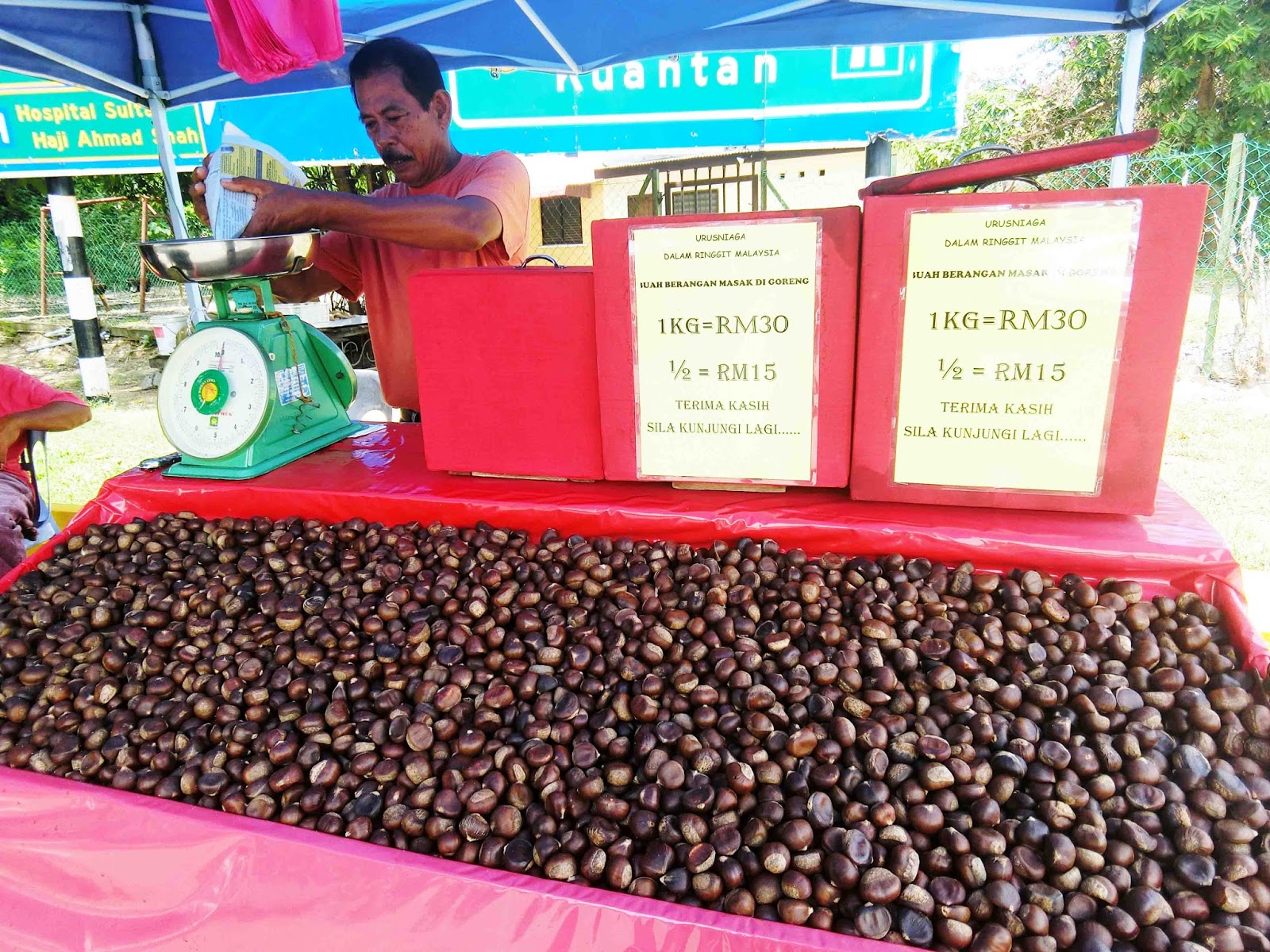 Pokok buah berangan