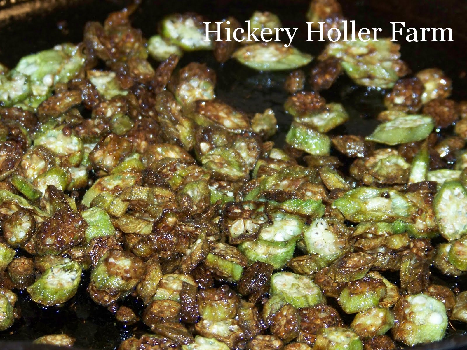 Hickery Holler Farm Baby O's Favorite Okra