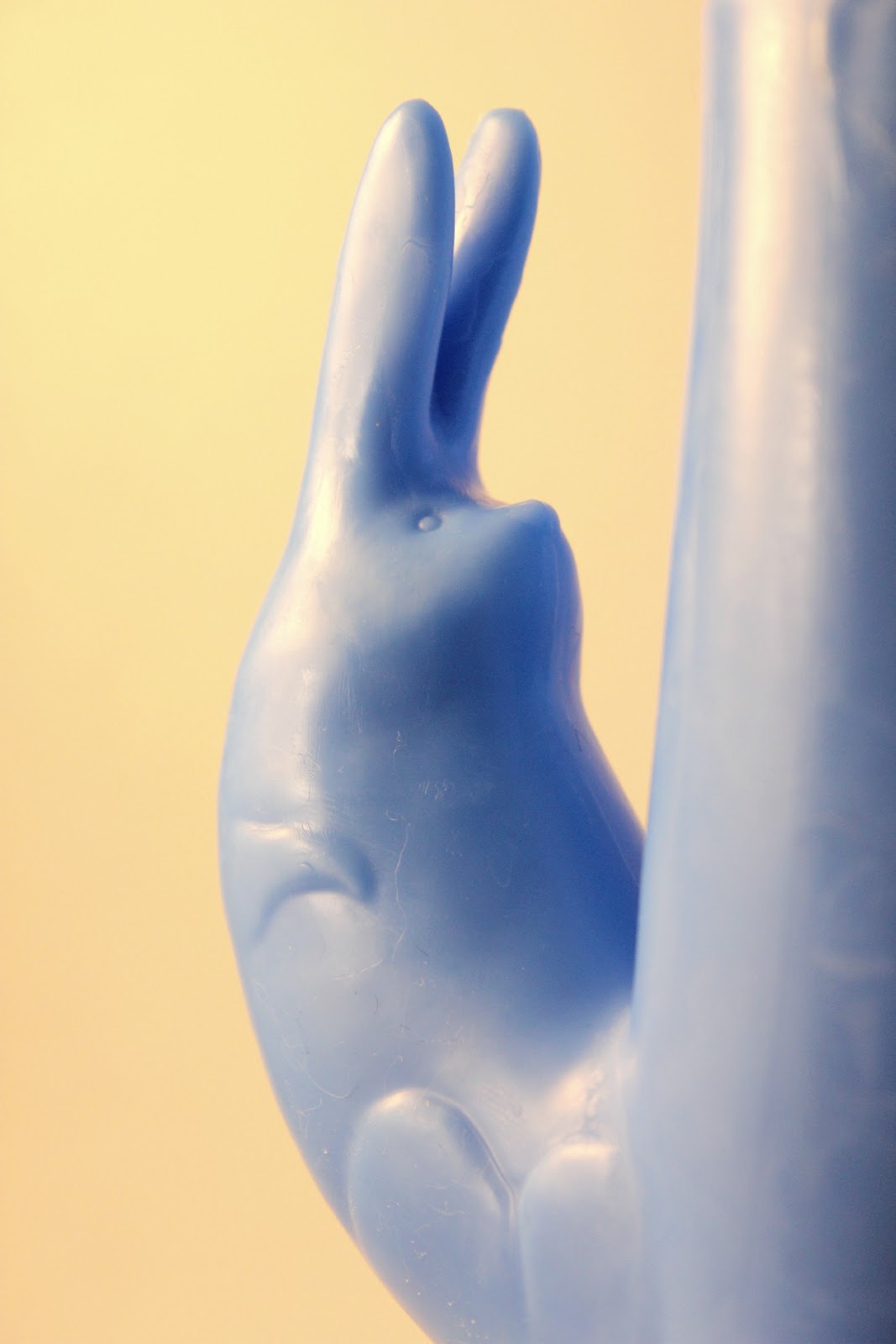 A Couple of Wankers: Review: Rampant Rabbit Thruster