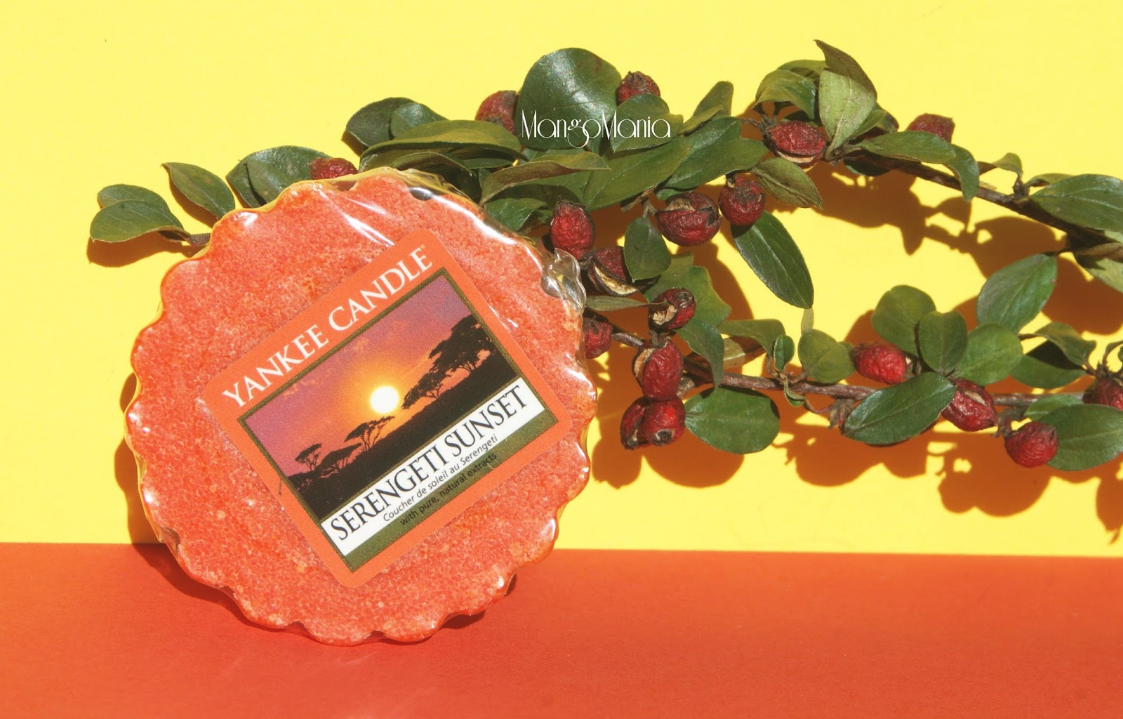 Woman's Dream Trunk... YANKEE CANDLE SERENGETI SUNSET