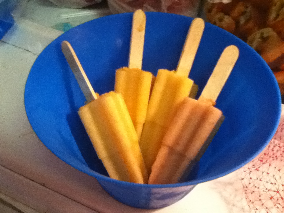 She's crafty! Home made healthy ice pops for toddlers...and mommys