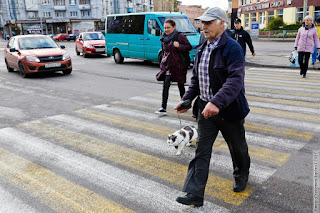 Блог Кота Васьки На прогулке