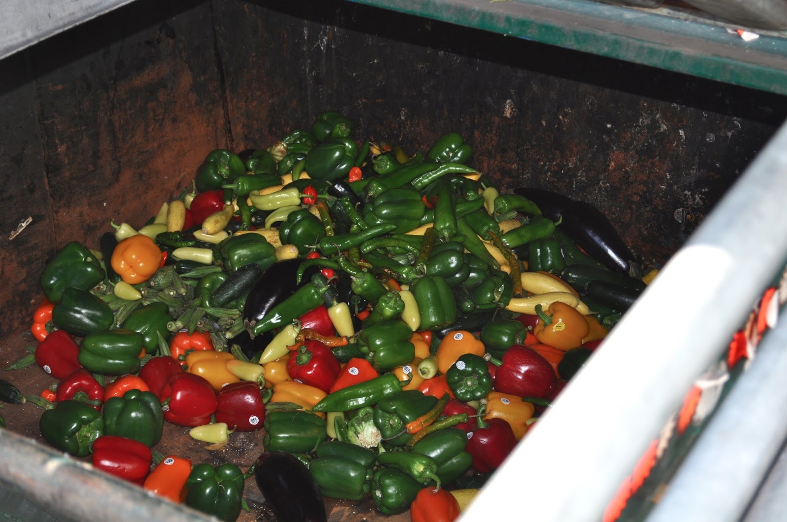 Kenny Lee Chilton Dumpster Diving