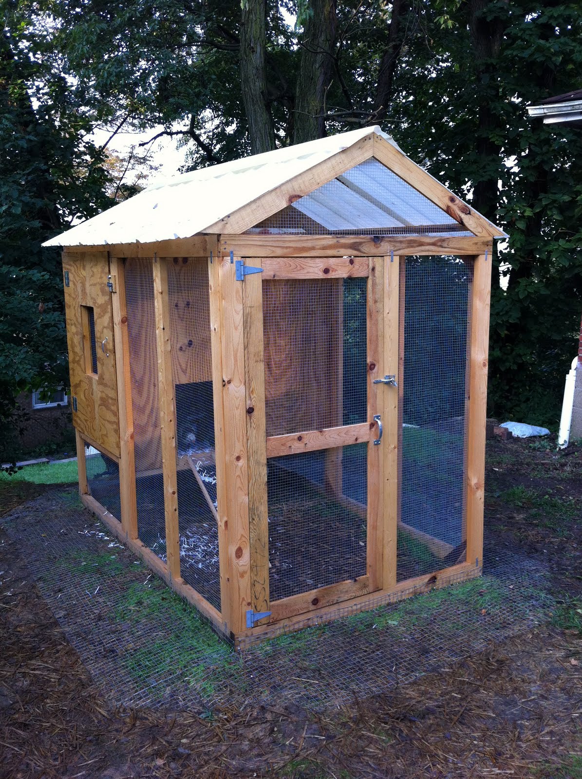 A life in the day of...: Free Insulated Chicken Coop Plans - IMG 0960