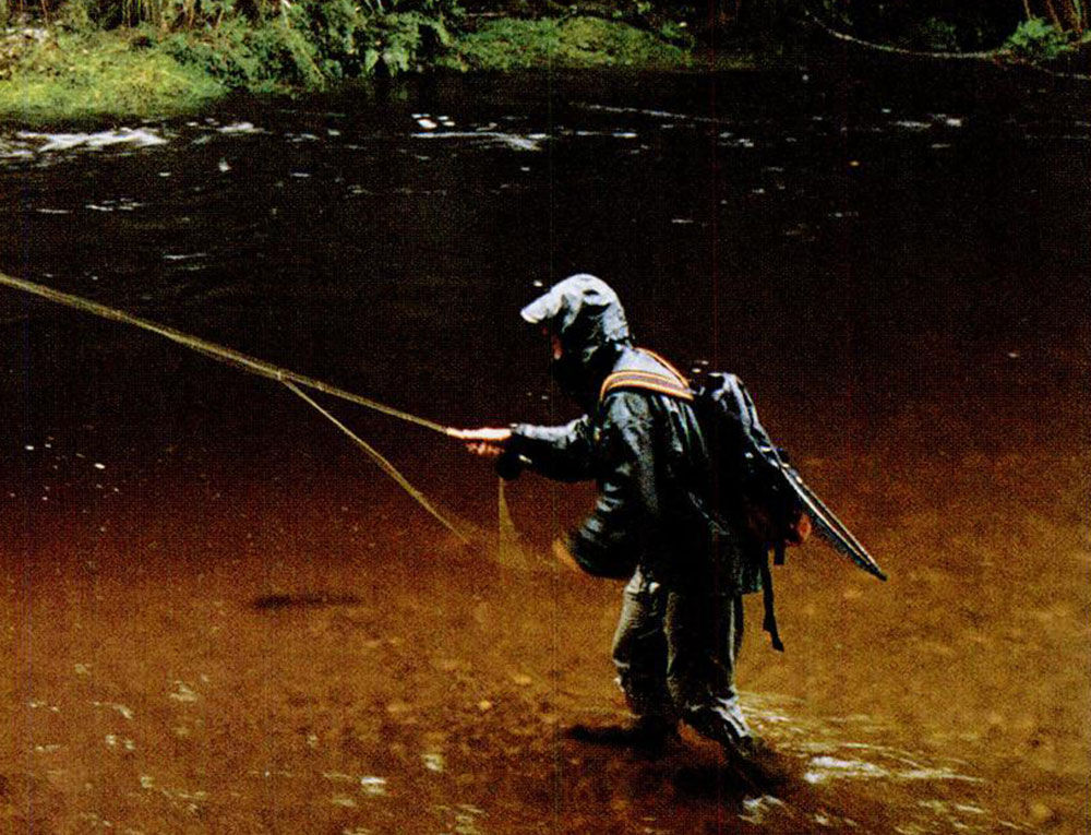 B. Todd Bailey (Idaho) Blogger The Three Basic Types of Flies for