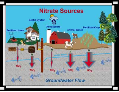Sources of nitrate in groundwater