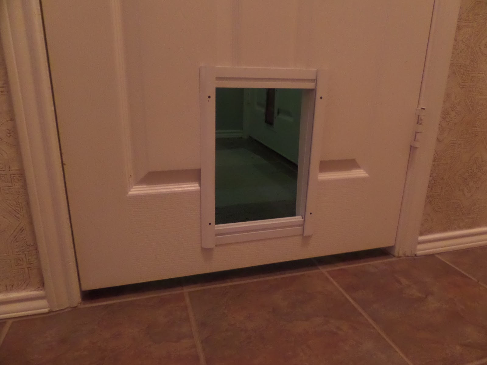 Im a Project Junkie Installing a cat door